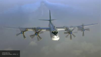 Видео полета российских Ту-95МС вблизи Аляски появилось в Сети - newinform.com - Россия - шт.Аляска