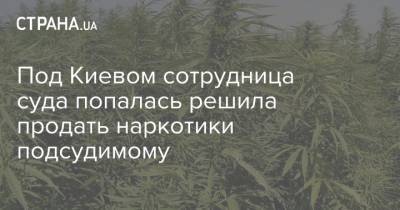 Под Киевом сотрудница суда попалась решила продать наркотики подсудимому - strana.ua - Украина - Киев - Киевская обл.