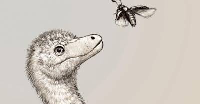 Оказалось, что тираннозавры рождались совсем крошечными - popmech.ru - США - Канада