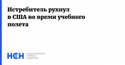 Истребитель рухнул в США во время учебного полета - nsn.fm - США - шт. Калифорния