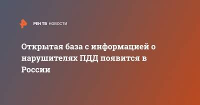 Открытая база с информацией о нарушителях ПДД появится в России - ren.tv - Россия