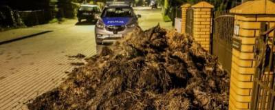 Животноводы Польши протестуют и вываливают навоз перед домами «предателей польских крестьян» - runews24.ru - Польша