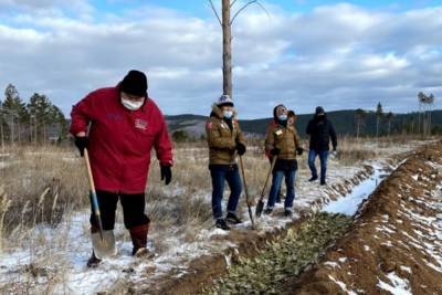 В Бурятии заложен первый в России лес по пермакультурной технологии - ulan.mk.ru - Россия - Улан-Удэ - респ.Бурятия