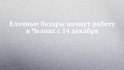 Елочные базары начнут работу в Челнах с 14 декабря - chelny-izvest.ru - Набережные Челны - Комсомольск - район Автозаводский