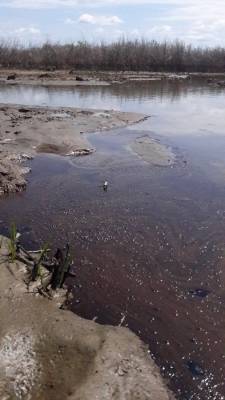 Жители Ямала сообщили о сливе мазута в реку - nakanune.ru - Ямал - Лабытнанги