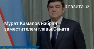 Мурат Камалов избран заместителем главы Сената - gazeta.uz - Узбекистан