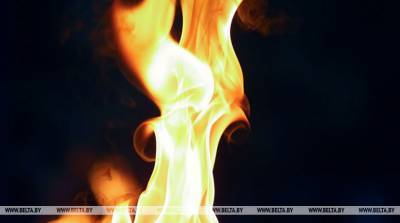 Два человека погибли на пожарах в Речицком районе - belta.by - Гомель - район Речицкий
