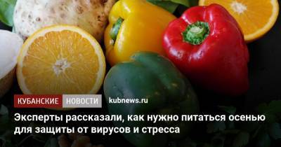 Эксперты рассказали, как нужно питаться осенью для защиты от вирусов и стресса - kubnews.ru