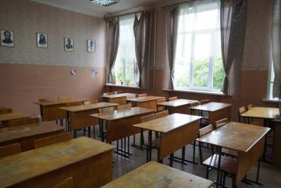 Александр Гусев - Власти региона продлили каникулы воронежских школьников до 2 недель - gorcom36.ru - Воронежская обл.