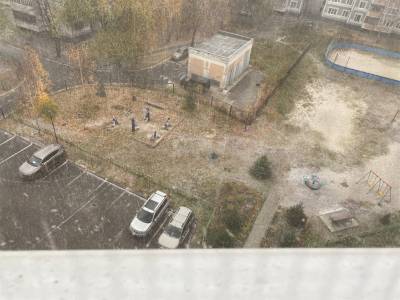 В Ульяновске выпал первый снег - ulpravda.ru - Ульяновск - Ульяновская