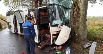 В полиции рассказали подробности ДТП с пассажирским автобусом в Зеленоградском районе - klops.ru - Чкаловск