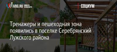 Тренажеры и пешеходная зона появились в поселке Серебрянский Лужского района - ivbg.ru - район Лужский