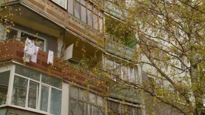 На улице Кижеватова ветки высокого дерева стучат в окна дома - penzainform.ru