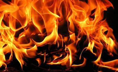 В Речицком районе на пожаре сгорели двое мужчин — фото - gomel.today - район Речицкий