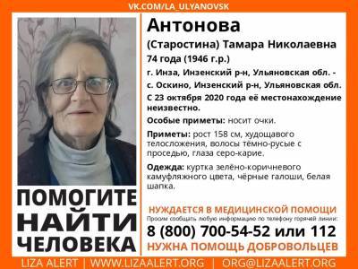 В Ульяновской области объявлена в розыск 74-летняя Тамара Антонова - ulpravda.ru - Ульяновская - район Инзенский