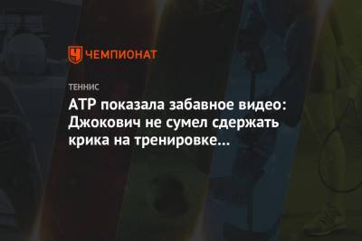 Григор Димитров - Карен Хачанов - Тим Доминик - ATP показала забавное видео: Джокович не сумел сдержать крика на тренировке с Димитровым - championat.com - Австрия - Россия - Вена