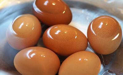 Al Jazeera (Катар): вареные яйца — секрет похудения - inosmi.ru - Англия - Катар