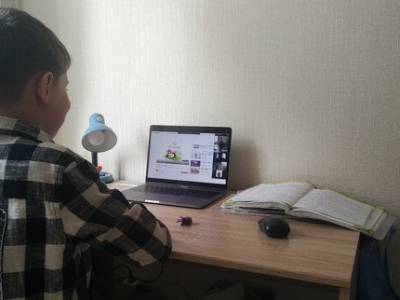 В Минобре Башкирии назвали фейком информацию о переходе на дистанционное обучение - ufatime.ru - Башкирия