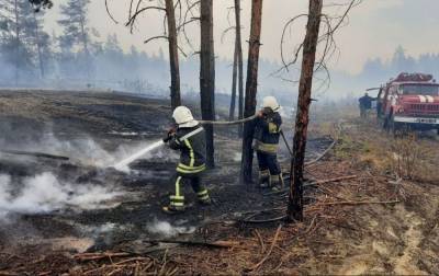 Площадь пожаров в Луганской области превысила 20 тысяч гектаров - rbc.ua - Украина - Луганская обл.