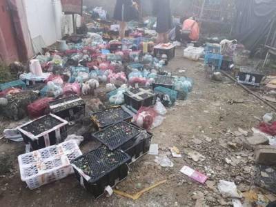 На складе в Китае оставили умирать тысячи животных в коробках - Cursorinfo: главные новости Израиля - cursorinfo.co.il - Китай - Израиль