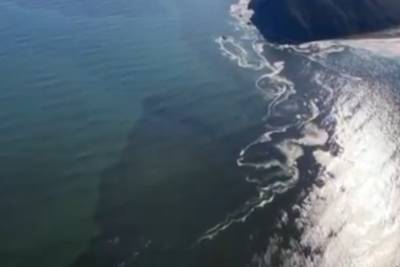 Антон Морозов - Опубликовано видео гигантского нефтяного пятна в океане возле Камчатки - mk.ru
