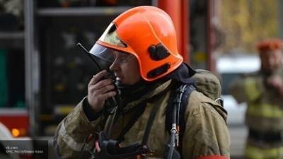 Мария Базарева - Очевидцы сообщили о погибших при пожаре в рязанской больнице - nation-news.ru - Москва - район Клепиковский