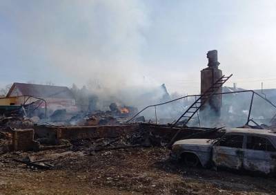 СК: при пожаре в Клепиковском районе погибли две женщины - ya62.ru - Рязанская обл. - район Клепиковский