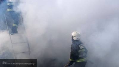 МЧС: в Рязанской области сгорели жилой дом и больница - politros.com - Рязанская обл.
