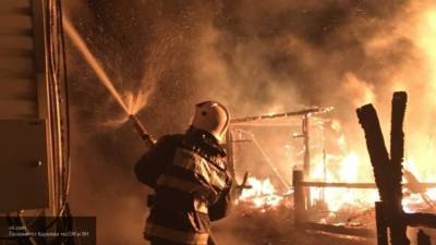 Дедушка с двумя внуками погибли при пожаре в крымском селе Геройское - newinform.com - Симферополь
