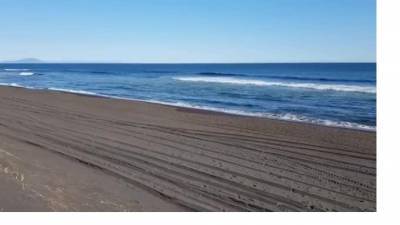 Власти Камчатки показали "совершенно чистый" Халактырский пляж - piter.tv
