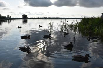 В Череповце волонтеры убрались на Утином озере - vologda-poisk.ru - Череповец