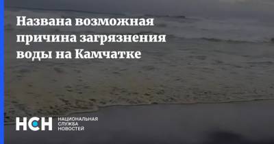 Дмитрий Лисицын - Названа возможная причина загрязнения воды на Камчатке - nsn.fm