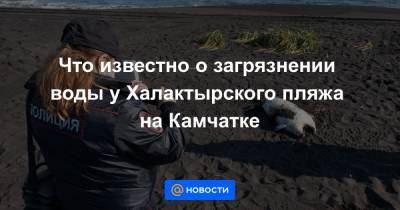 Дмитрий Кобылкин - Юрий Трутнев - Что известно о загрязнении воды у Халактырского пляжа на Камчатке - news.mail.ru - Россия