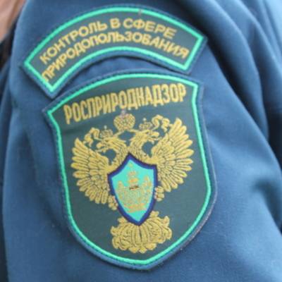 Росприроднадзор организовал рейд после загрязнения воды у берегов Камчатки - radiomayak.ru