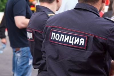 В Ясногорске полиция задержала угонщика - tula.mk.ru - Ясногорск