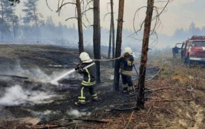 ОБСЕ не зафиксировала существенного вреда сооружениям в результате пожаров в Луганской области - rbc.ua - Украина - Луганская обл. - станица Луганская