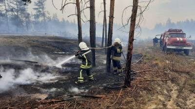 На Луганщине продолжается борьба с огнем: обновленные данные по пожарам (видео) - vchaspik.ua - Украина - Гсчс