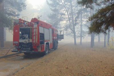 В Луганской области удалось локализовать 5 из 6 очагов пожаров, - ГСЧС - vkcyprus.com - Луганская обл. - Гсчс