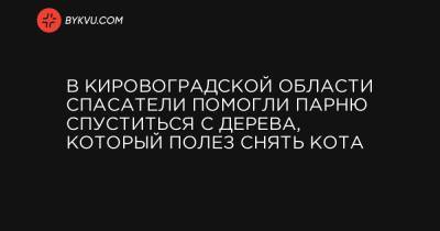 В Кировоградской области спасатели помогли парню спуститься с дерева, который полез снять кота - bykvu.com - Украина - Кировоградская обл. - Гсчс