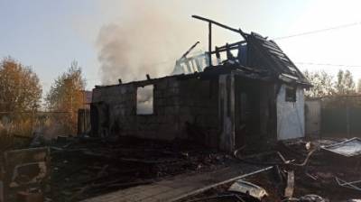 При пожаре в дачном домике пострадала 45-летняя пензячка - penzainform.ru - Россия - Пензенская обл.