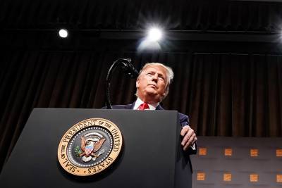 Дональд Трамп - У Трампа на удалёнке поднялась температура - tvc.ru - США - Англия - Франция - Чехия