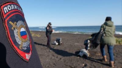 Названа вероятная причина гибели морских животных на Камчатке - 5-tv.ru