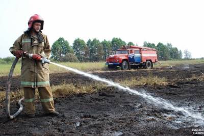 Очередной лесной пожар произошел в Пучежском районе - mkivanovo.ru