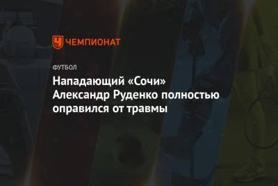 Александр Руденко - Нападающий «Сочи» Александр Руденко полностью оправился от травмы - championat.com - Сочи