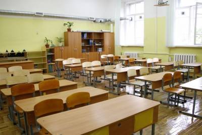 Виктор Басюк - Петербургские школы сами примут решение об «удаленке» - abnews.ru - Россия