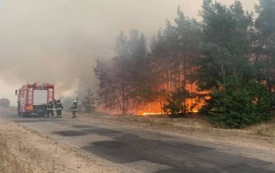 Пожары в Луганской области: половину очагов ликвидировали, огонь отступает - rbc.ua - Луганская обл.