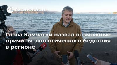 Владимир Солодов - Глава Камчатки назвал возможные причины экологического бедствия в регионе - ria.ru - Петропавловск-Камчатский - Владивосток - Москва