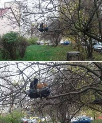 Странности вокруг нас - skuke.net