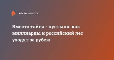 Владимир Путин - Вместо тайги - пустыня: как миллиарды и российский лес уходят за рубеж - ren.tv - Россия