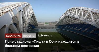 Дмитрий Рубашко - Поле стадиона «Фишт» в Сочи находится в больном состоянии - kubnews.ru - Сочи